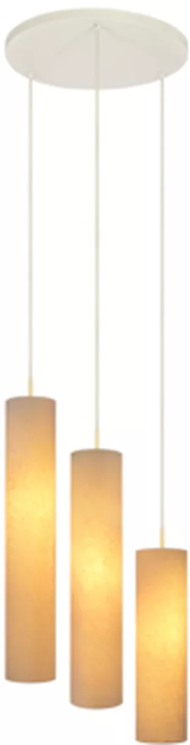 Image without description