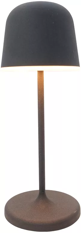 Image without description