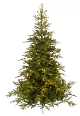 Image without description