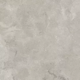 Image without description