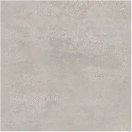 Image without description