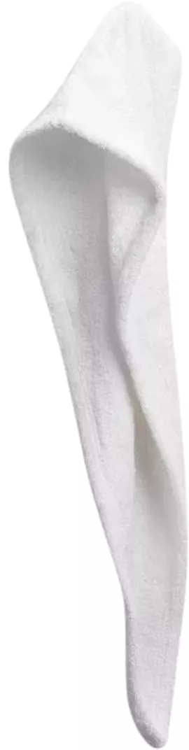 Image without description