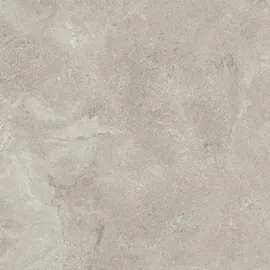 Image without description