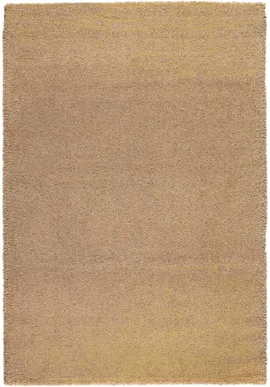 Image without description