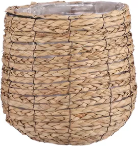 Image without description