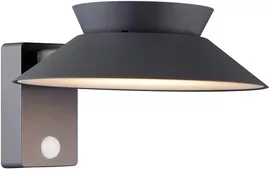 Image without description