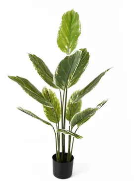 Image without description