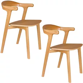 Image without description