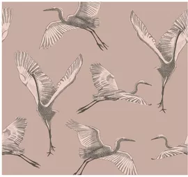 Image without description