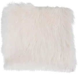 Image without description