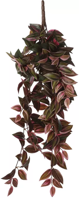 Image without description