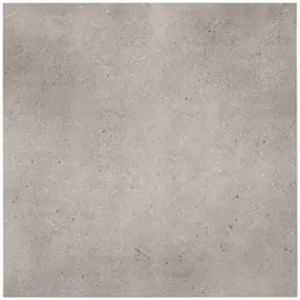 Image without description