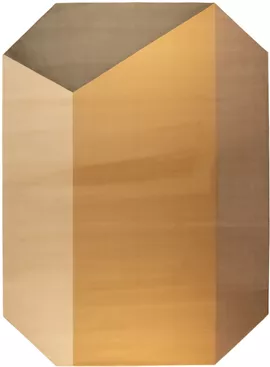 Image without description