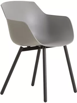 Image without description