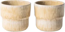 Image without description