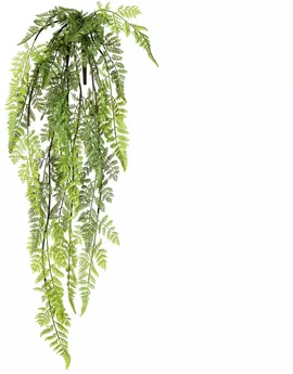 Image without description