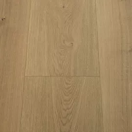 Image without description