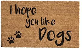 Image without description