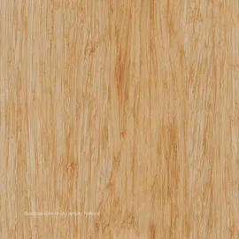 Image without description