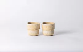 Image without description