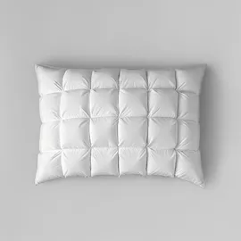 Image without description