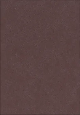 Image without description