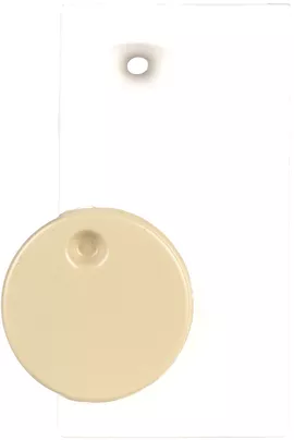 Image without description