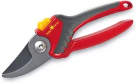 Image without description