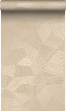 Image without description