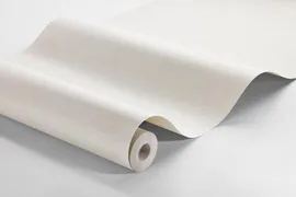 Image without description
