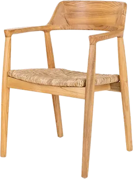 Image without description