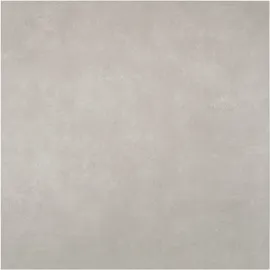 Image without description