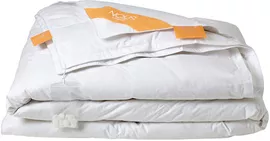 Image without description