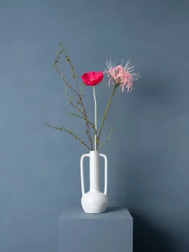 Image without description