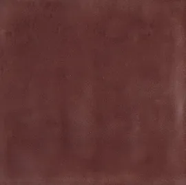 Image without description