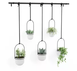 Image without description