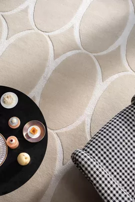 Image without description