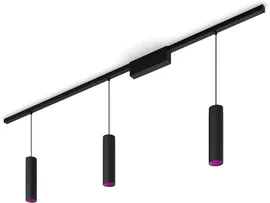 Image without description