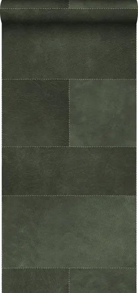 Image without description