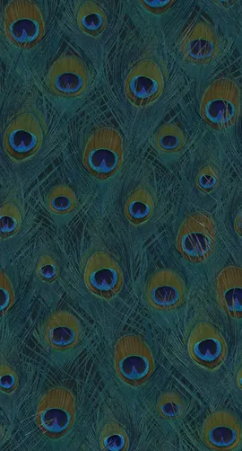 Image without description