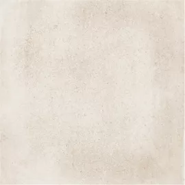 Image without description