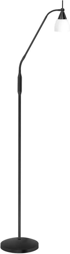 Image without description