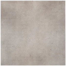 Image without description