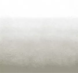 Image without description