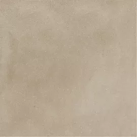 Image without description