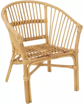 Image without description