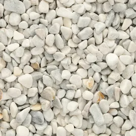 Image without description