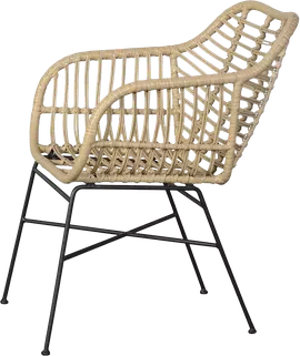 Image without description