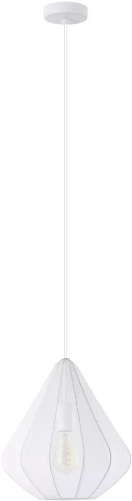 Image without description