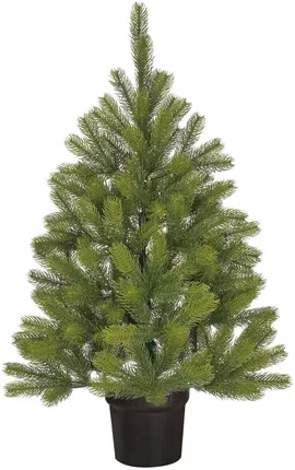 Image without description